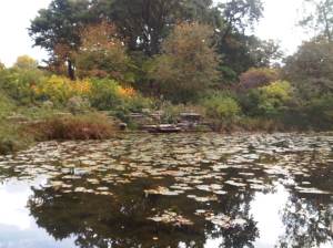 Pond in Lincoln Park, photo by Larry Masa